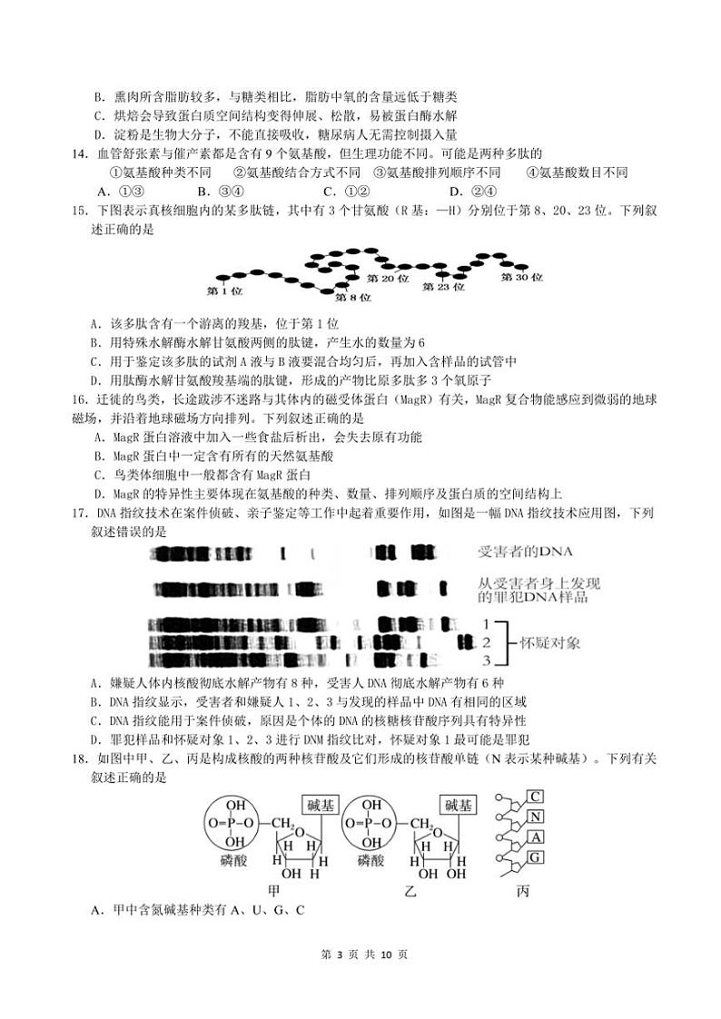 四川省仁寿第一中学校南校区2024~2025学年高一(上)期中生物试卷(含答案)03