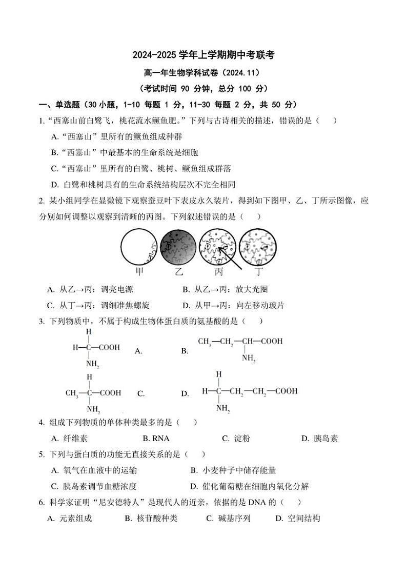 福建省泉州市四校2024~2025学年高一(上)期中联考生物试卷(含答案)第1页