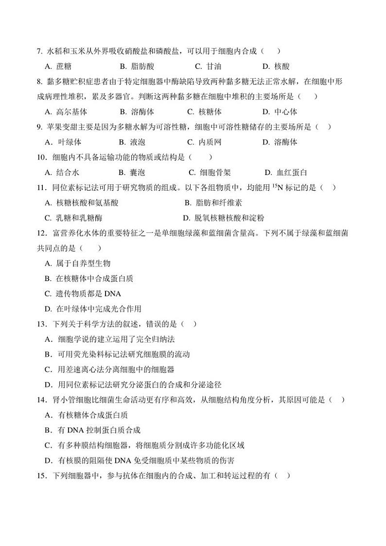 福建省泉州市四校2024~2025学年高一(上)期中联考生物试卷(含答案)第2页