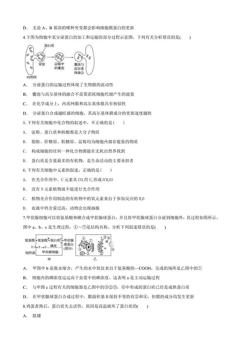 甘肃省陇南市武都区陇南市第一中学2024~2025学年高一(上)11月月考生物试卷(含答案)第2页