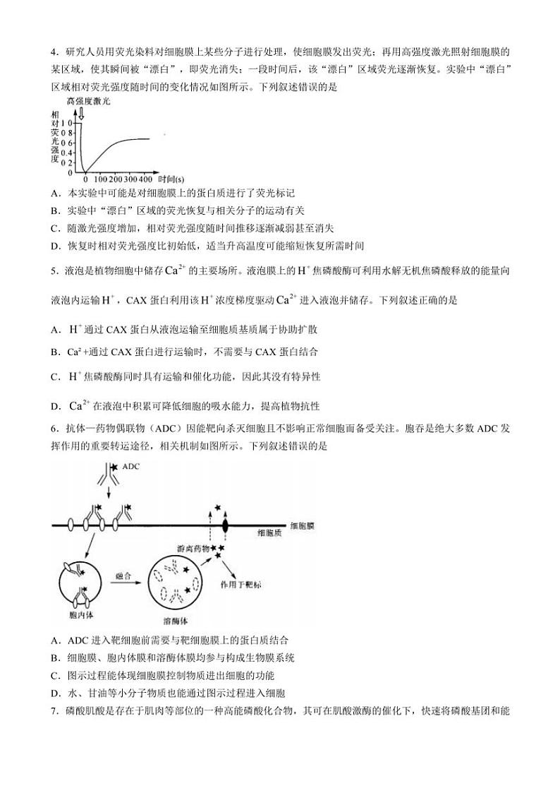 河南省部分重点中学2024~2025学年高三(上)11月质量检测生物试卷(含解析)第2页