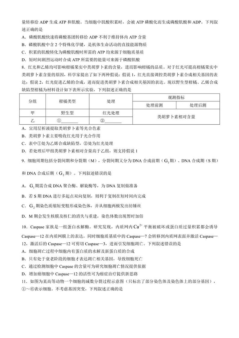 河南省部分重点中学2024~2025学年高三(上)11月质量检测生物试卷(含解析)第3页
