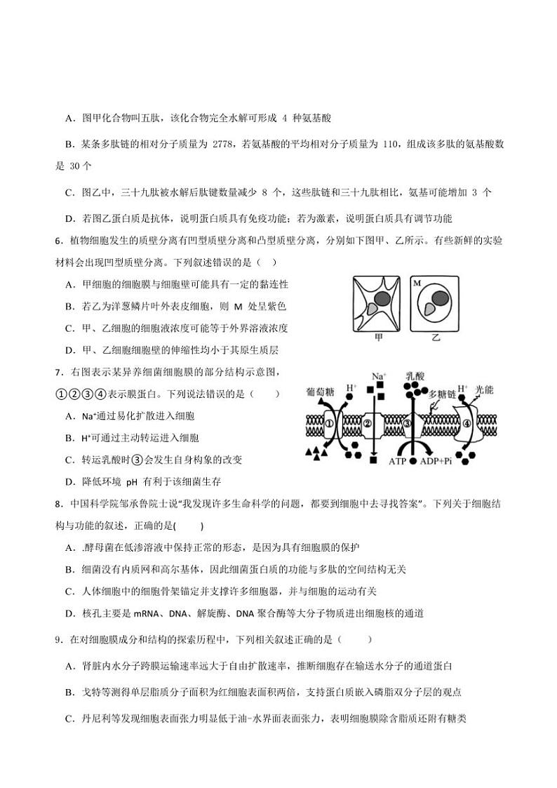 四川省眉山市仁寿县四川省仁寿第一中学校南校区2024~2025学年高三(上)期中生物试卷(含答案)第2页