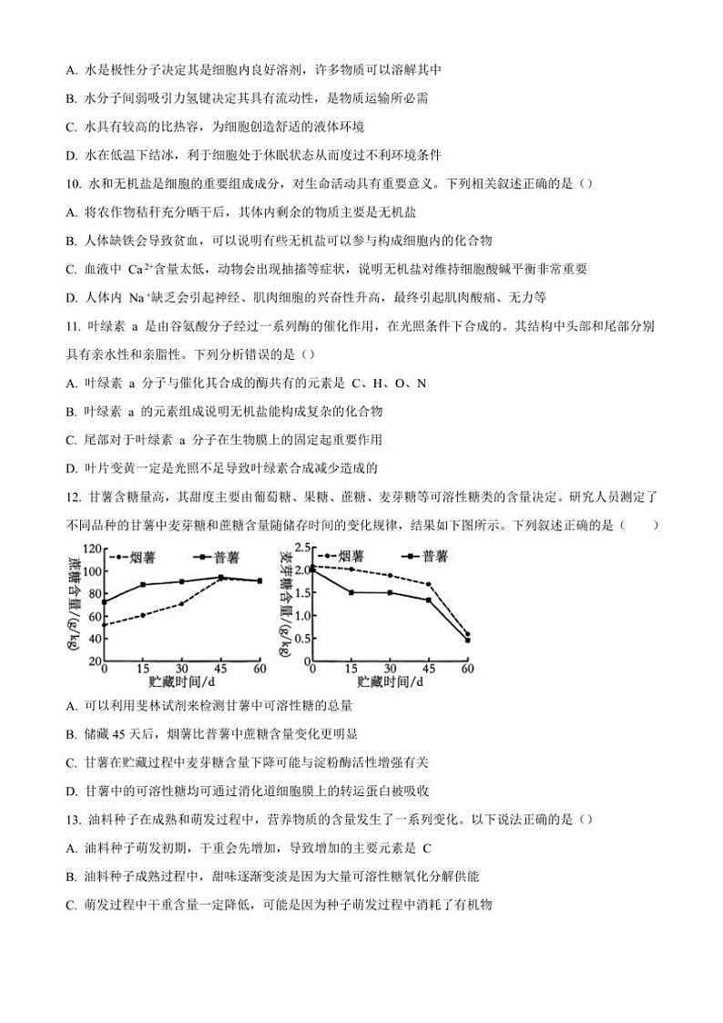 山东省实验中学2024~2025学年高一(上)期中生物试卷(含答案)第3页