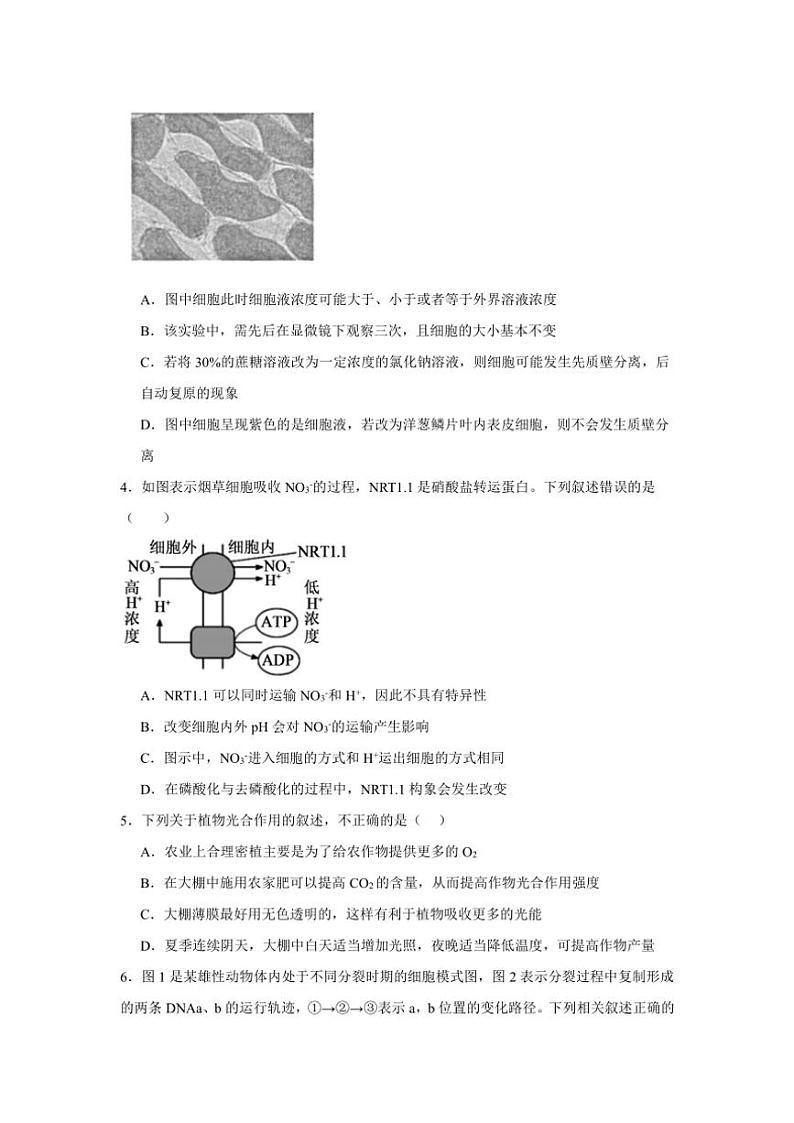 湖南省常德市汉寿县汉寿县第一中学2024~2025学年高三(上)期中生物试卷(含答案)第2页