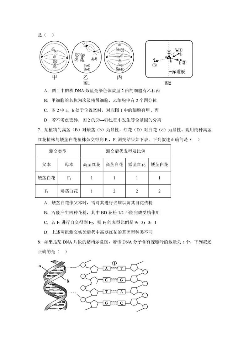湖南省常德市汉寿县汉寿县第一中学2024~2025学年高三(上)期中生物试卷(含答案)第3页