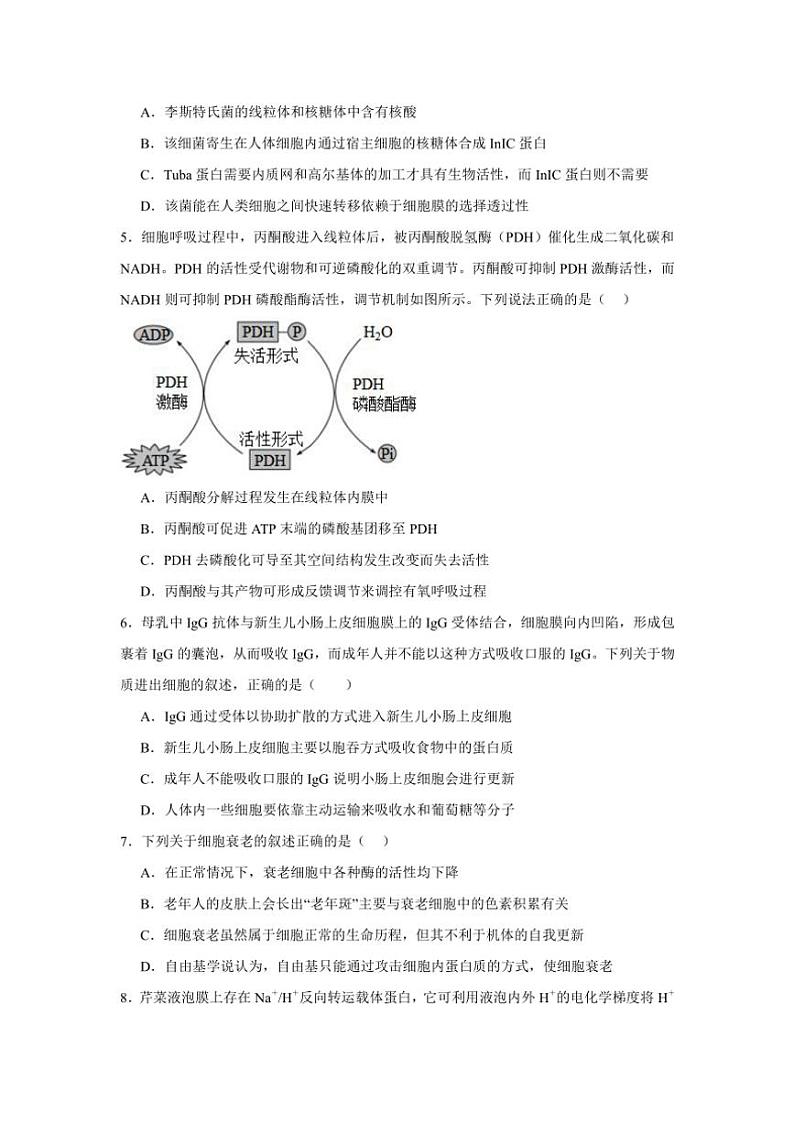 湖南省岳阳市临湘市2024~2025学年高三(上)期中生物试卷(含答案)第2页