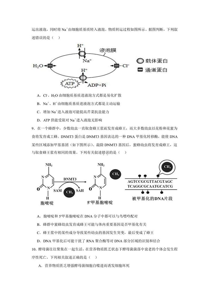 湖南省岳阳市临湘市2024~2025学年高三(上)期中生物试卷(含答案)第3页