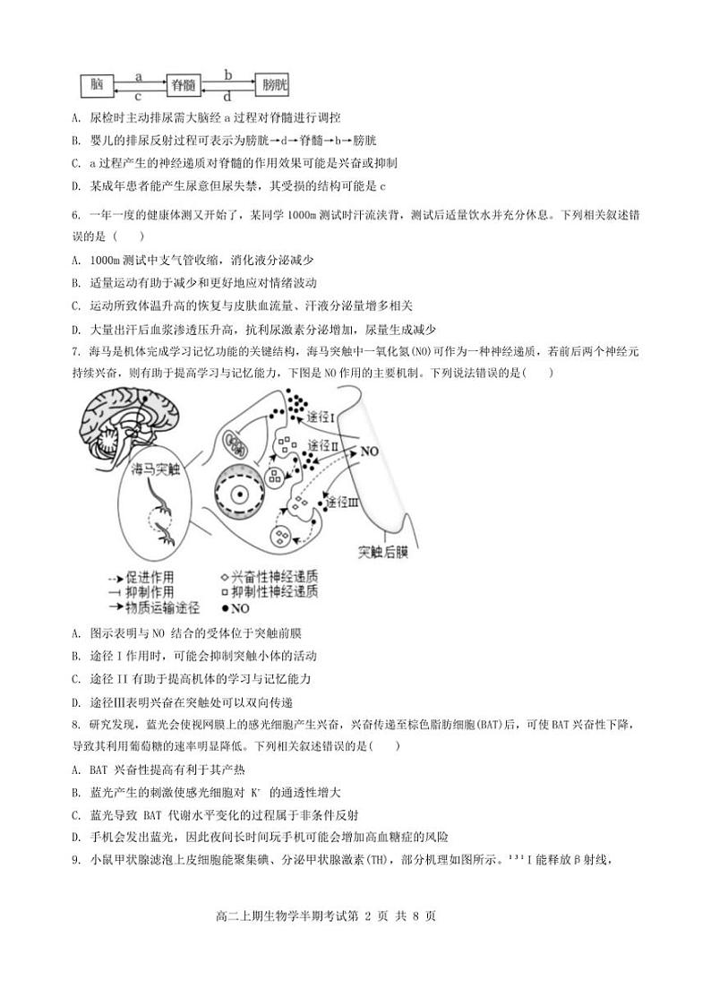 四川省自贡市蜀光中学2024~2025学年高二(上)期中生物试卷(含答案)第2页