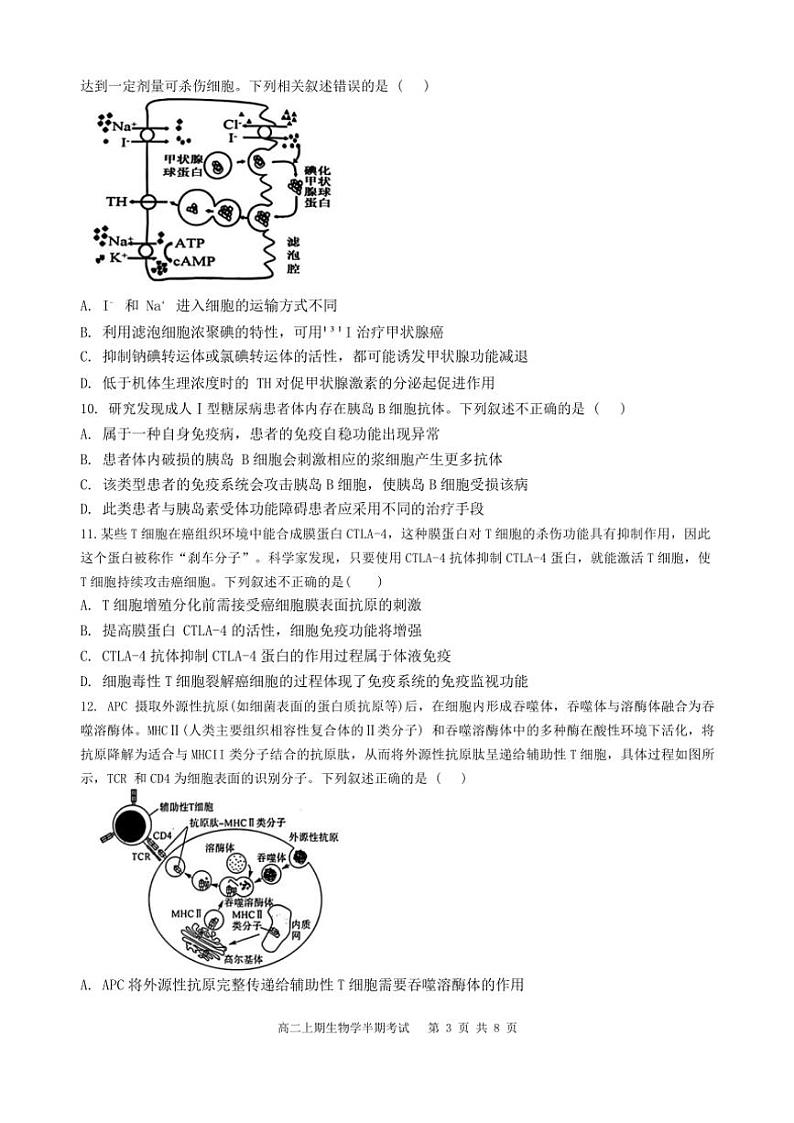 四川省自贡市蜀光中学2024~2025学年高二(上)期中生物试卷(含答案)第3页