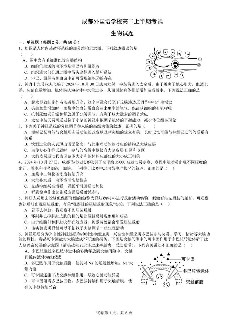 四川省成都外国语学校2024~2025学年高二(上)期中检测生物试卷(含答案)第1页