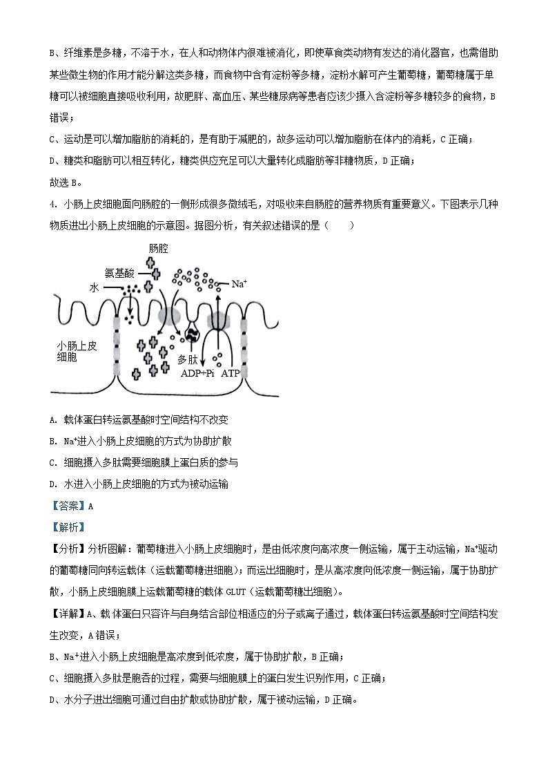 山西省大同市2023_2024学年高三生物上学期10月月考试题含解析第3页