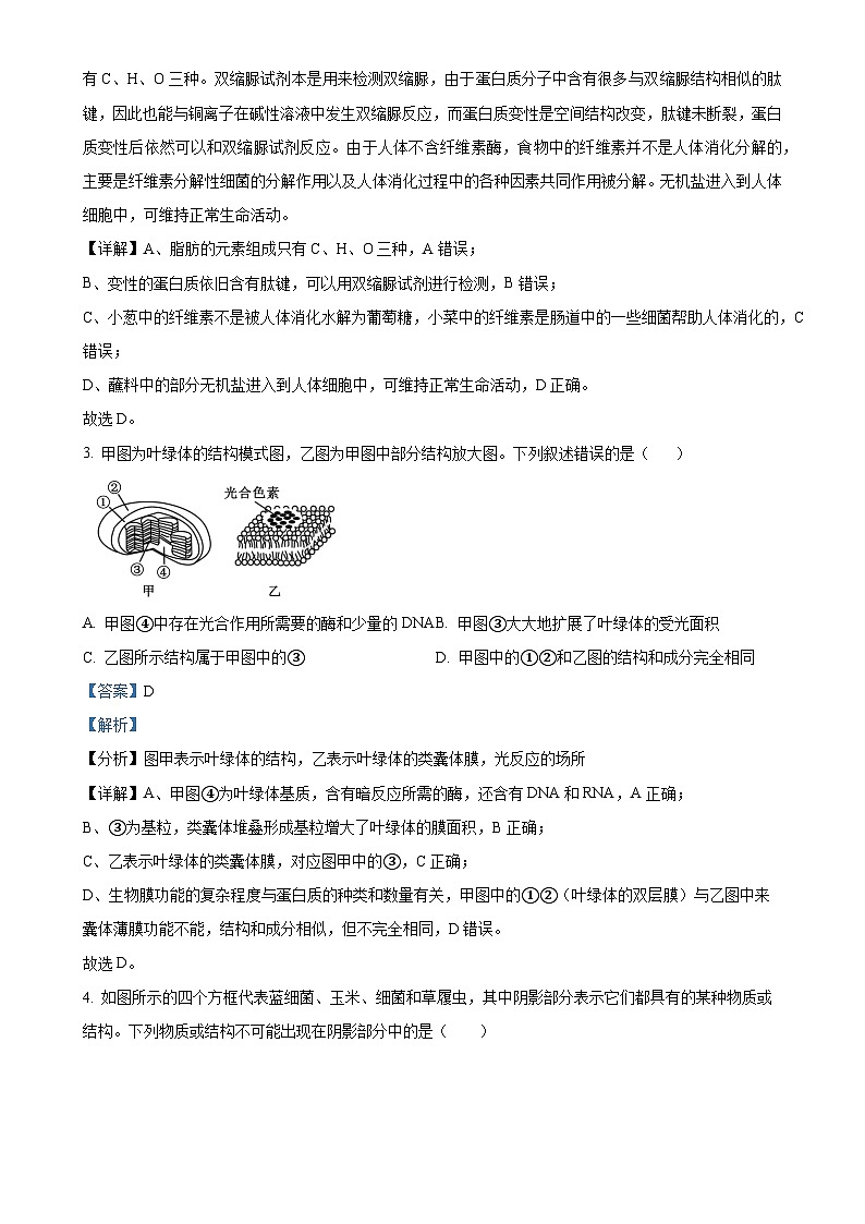 广东省湛江市第二十一中学2024-2025学年高一上学期期中考试生物试题(解析版)-A4第2页