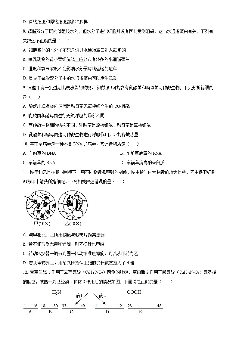 吉林省长春市长春汽车经济技术开发区第三中学2024-2025学年高一上学期11月期中生物试题(原卷版)-A4第2页