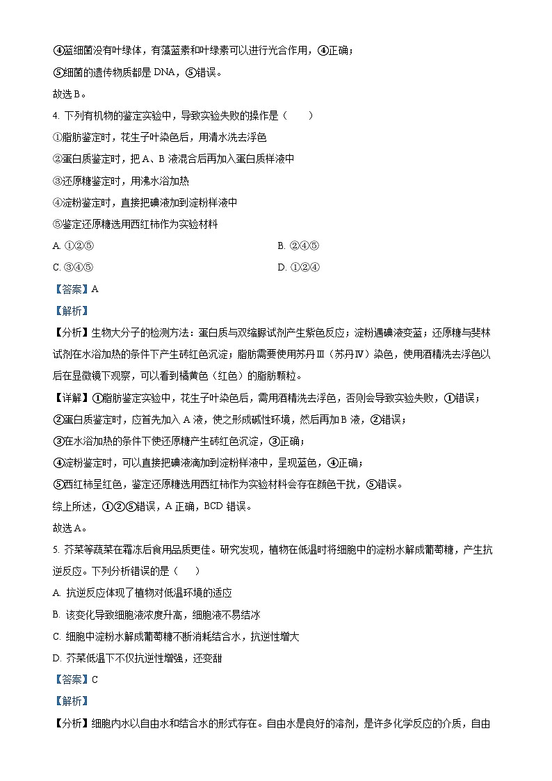 广东省梅州市兴宁市第一中学2024-2025学年高一上学期11月期中生物试题(解析版)-A4第3页