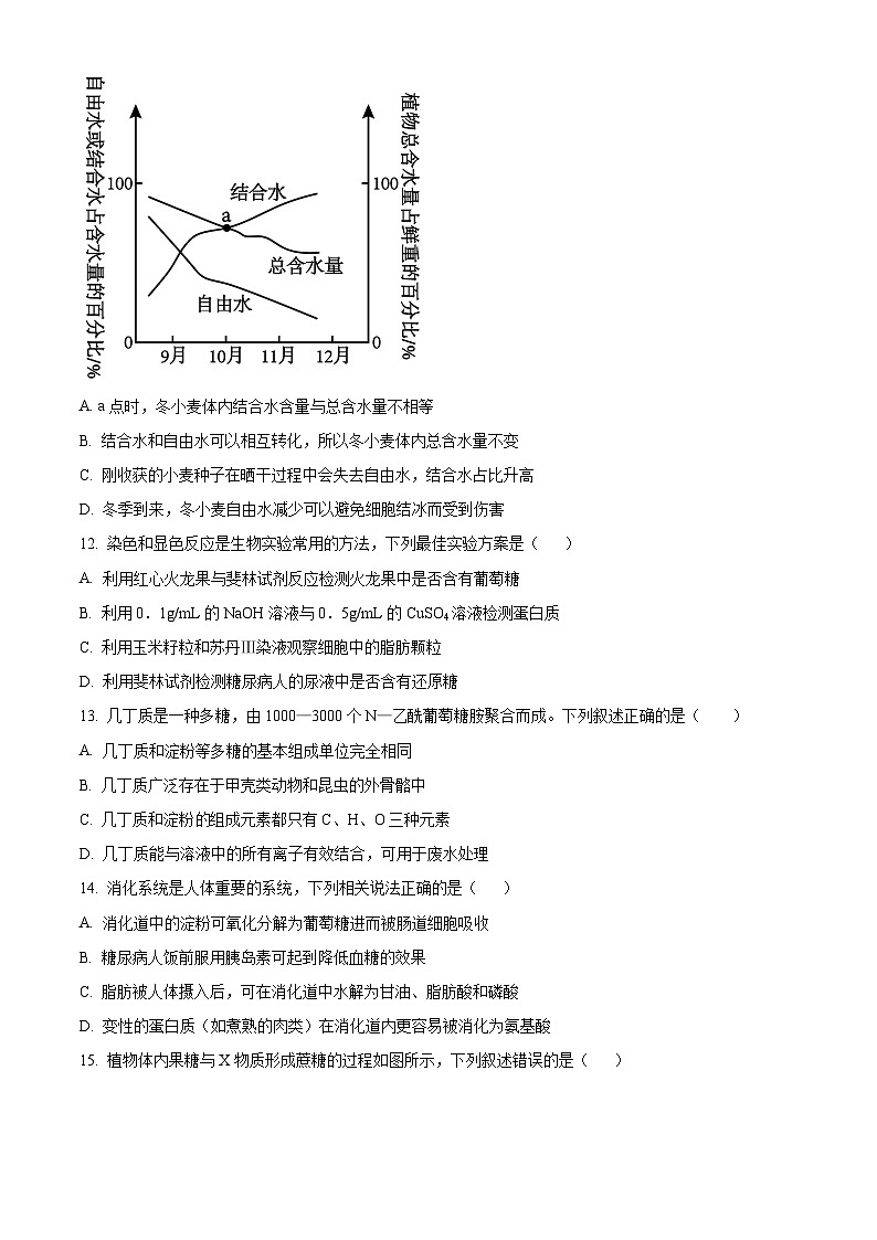 重庆市南开中学2024-2025学年高一上学期期中考试生物试题 Word版无答案第3页