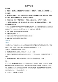 重庆市巴蜀中学2024-2025学年高三上学期11月月考生物试题（Word版附解析）