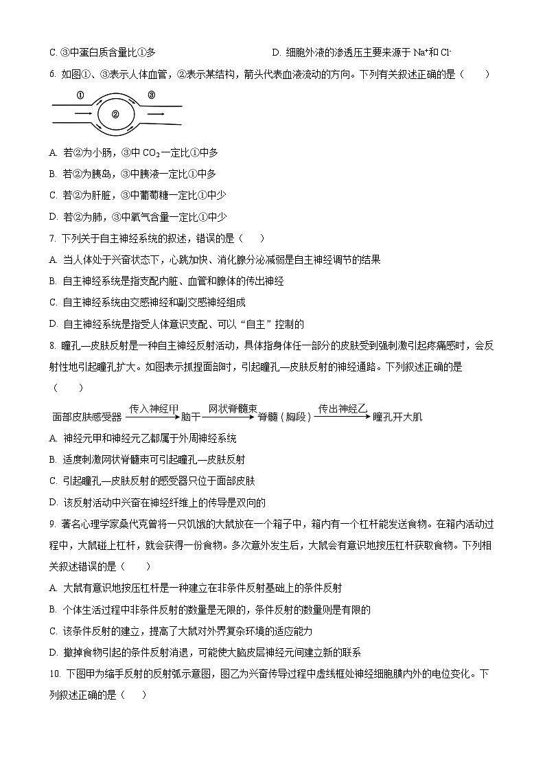 四川省合江县马街中学2024-2025学年高二上学期期中考试生物试题 Word版无答案第2页
