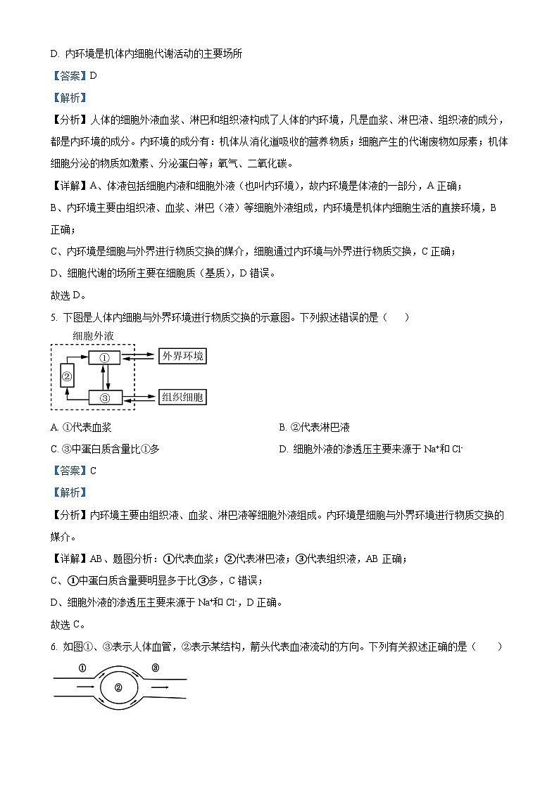 四川省合江县马街中学2024-2025学年高二上学期期中考试生物试题 Word版含解析第3页
