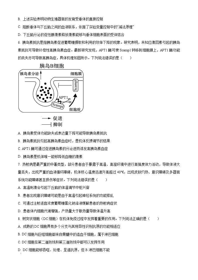 山东省青岛市黄岛区2024-2025学年高二上学期11月期中考试生物试题word版含答案第3页