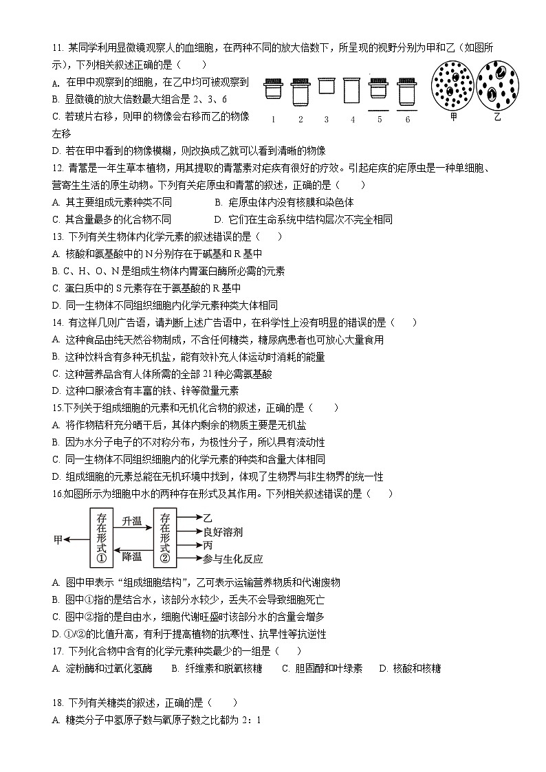 四川省成都外国语学校2024-2025学年高一上学期期中检测生物试题-A4第2页