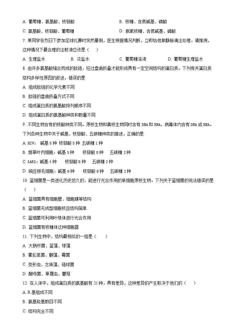 四川省内江市第七中学2024-2025学年高一上学期期中考试生物试卷(原卷版)-A4第2页