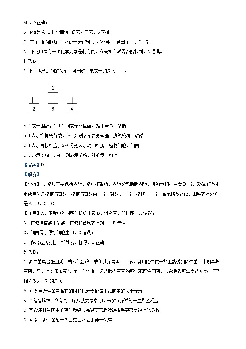 四川省成都市列五中学2024-2025学年高一上学期11月期中生物试题(解析版)-A4第2页