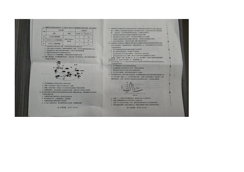山东省昌邑市2024-2025学年高二上学期11月期中考试生物试题第2页