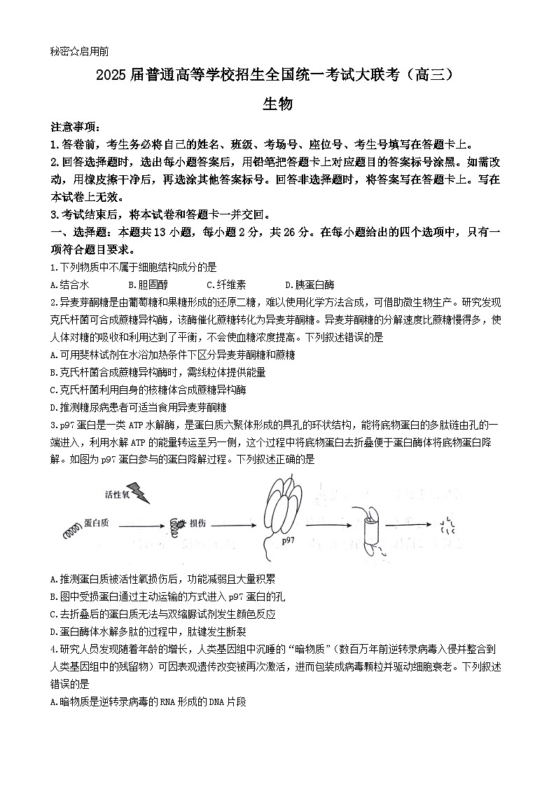 河北省邢臺市名校大聯(lián)考2024-2025學(xué)年高三上學(xué)期11月月考生物試題第1頁