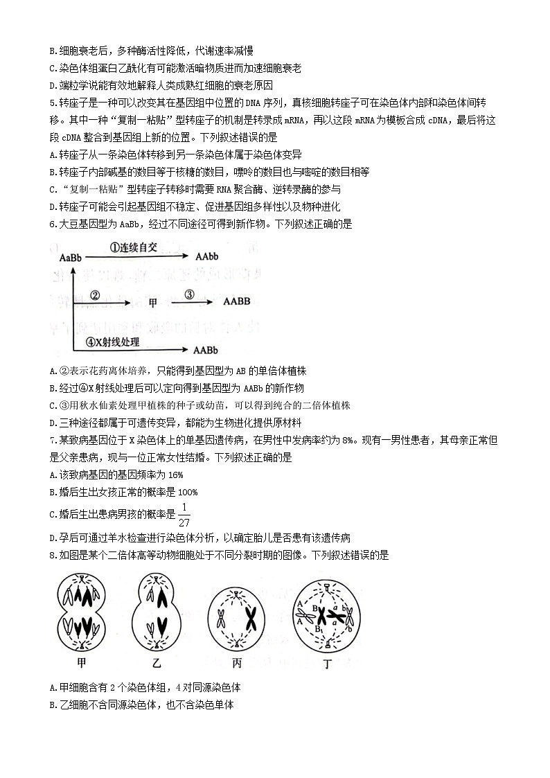 河北省邢臺市名校大聯(lián)考2024-2025學(xué)年高三上學(xué)期11月月考生物試題第2頁
