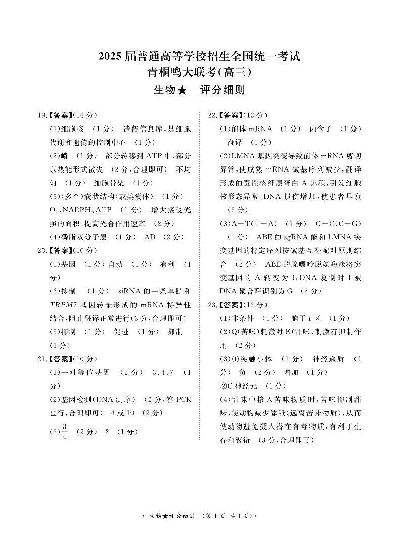 參考答案第1頁
