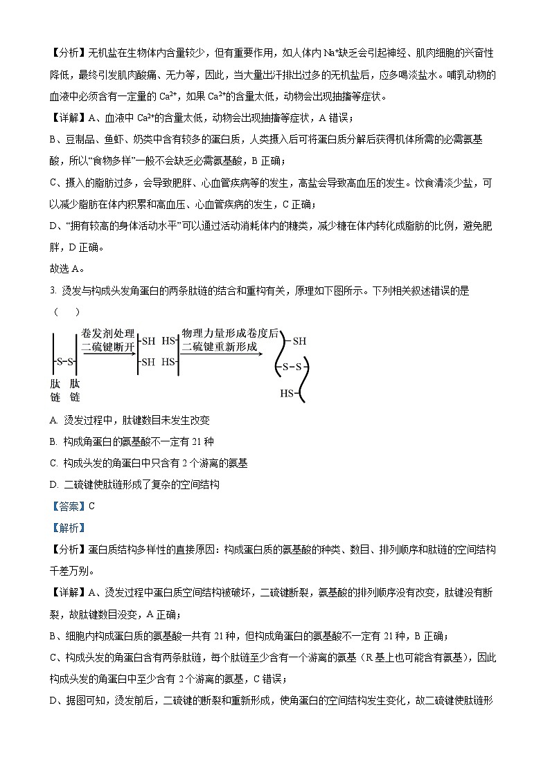 天津市河北區(qū)2024-2025學年高三上學期11月期中質量檢測生物試題含解析第2頁