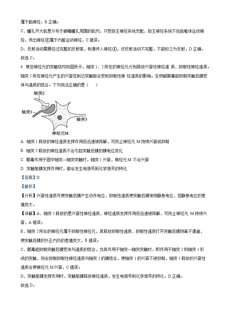 山东省聊城市2024-2025学年高二上学期11月期中生物试题含解析第3页