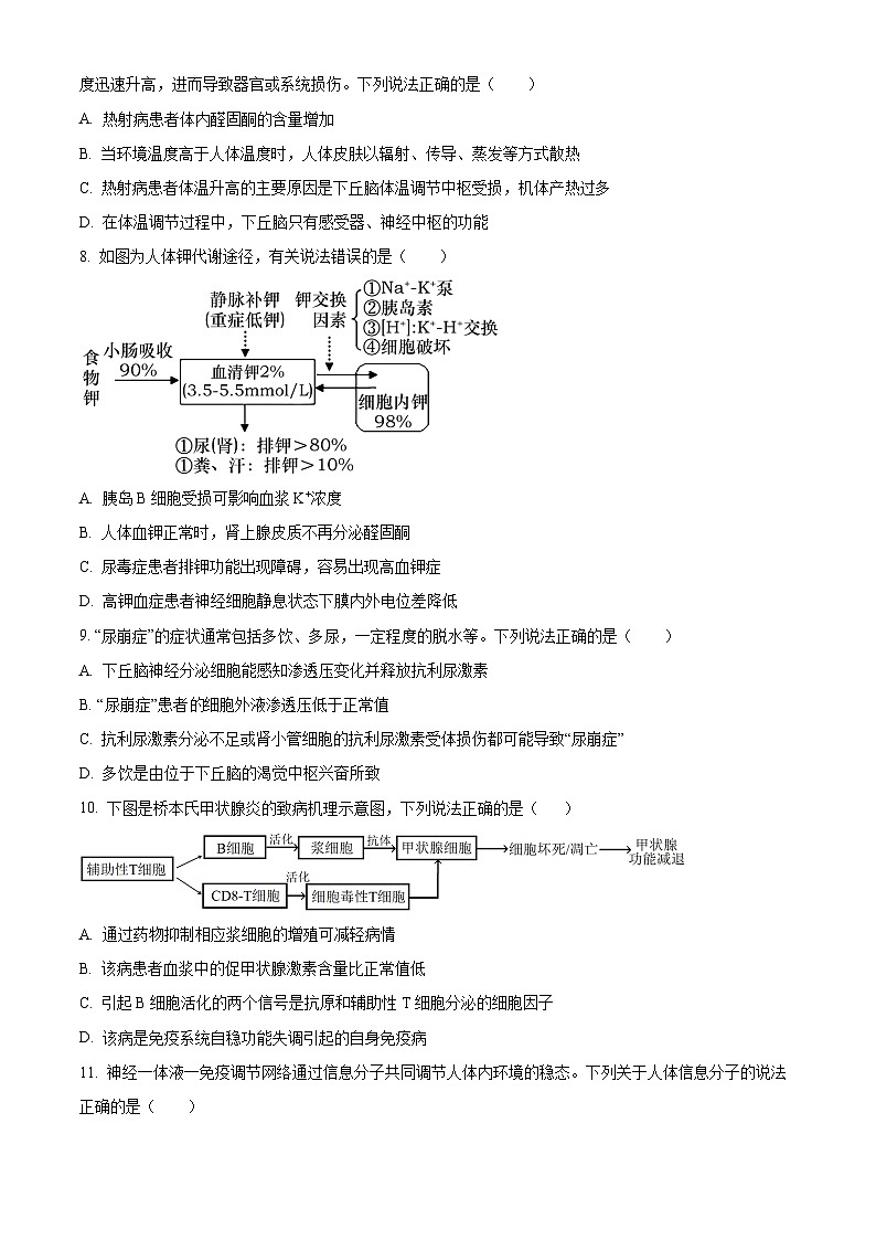山东省聊城市2024-2025学年高二上学期11月期中生物试题无答案第3页