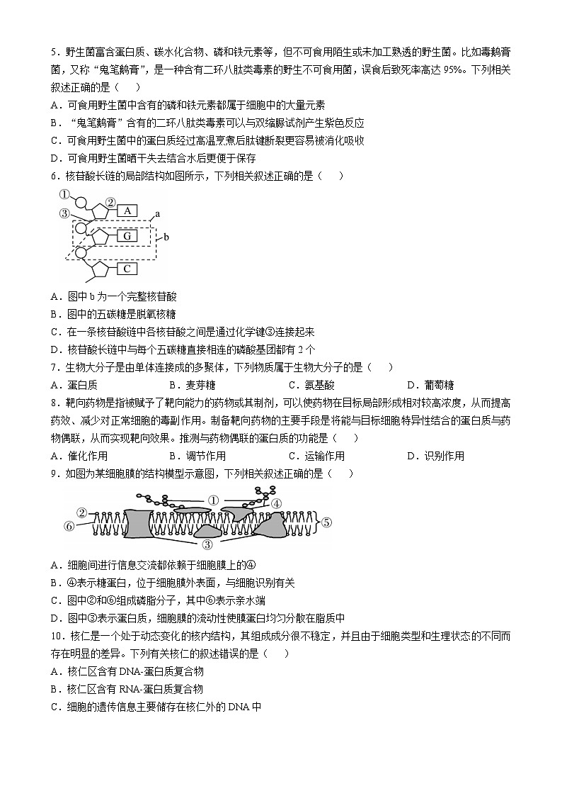 2025锦州高一上学期11月期中考试生物无答案第2页