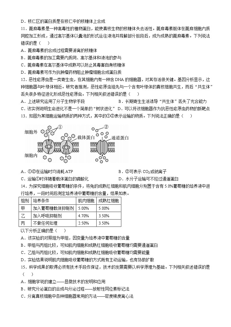 2025锦州高一上学期11月期中考试生物无答案第3页