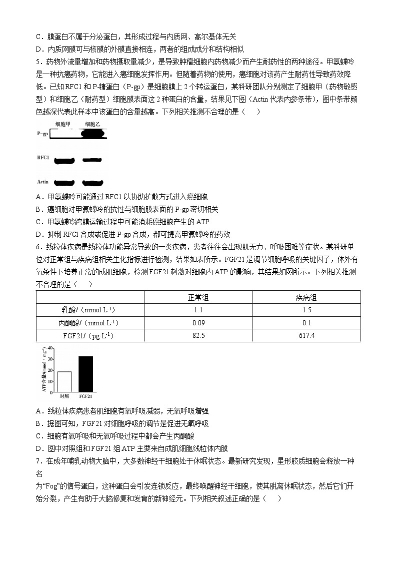 安徽省卓越县中联盟2024-2025学年高三上学期期中考试生物试卷第2页