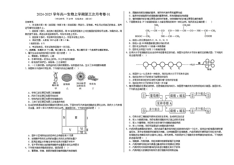 高一生物第三次月考卷01(A3考试版)【测试范围:必修1第1-5章】(新高考通用)第1页