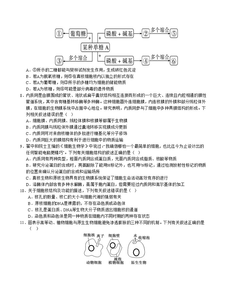 高一生物第三次月考卷01(A4考试版)【测试范围:必修1第1-5章】(新高考通用)第3页