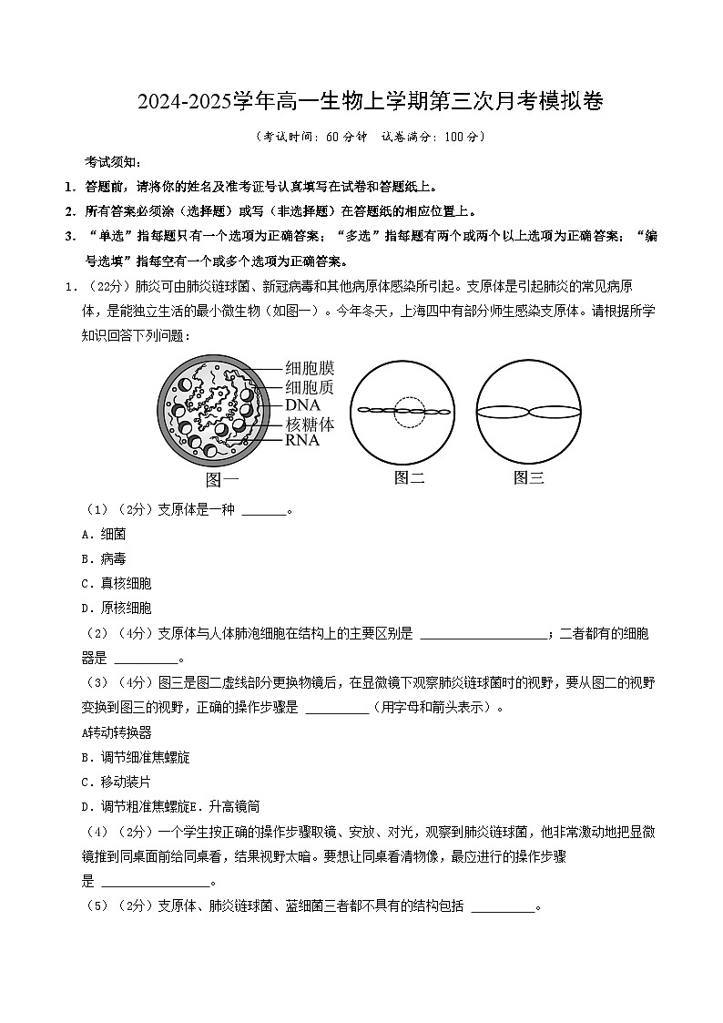 高一生物第三次月考卷(上海专用)2024-2025学年初中上学期第三次月考01