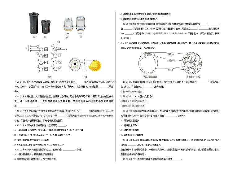高一生物第三次月考卷(上海专用)2024-2025学年初中上学期第三次月考02