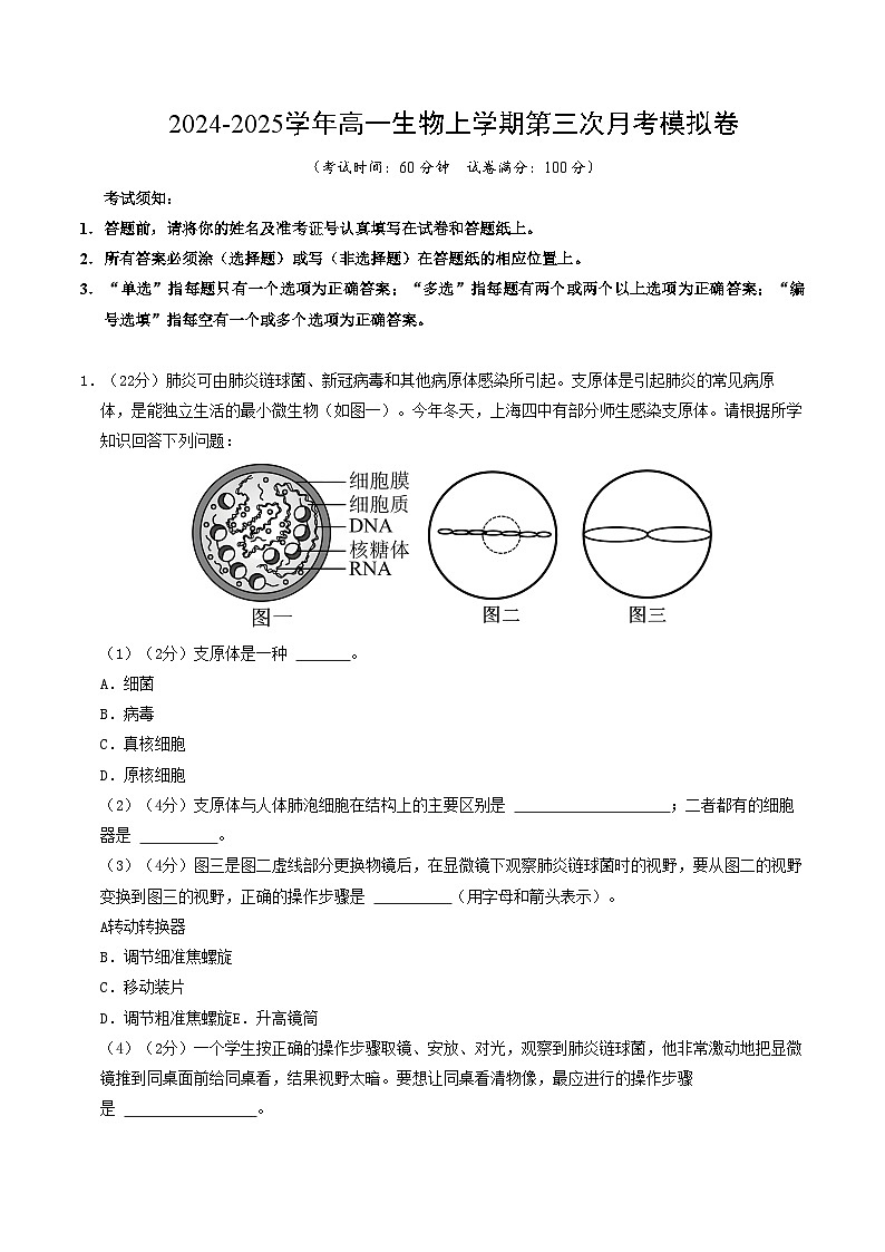 高一生物第三次月考卷(上海专用)2024-2025学年初中上学期第三次月考01
