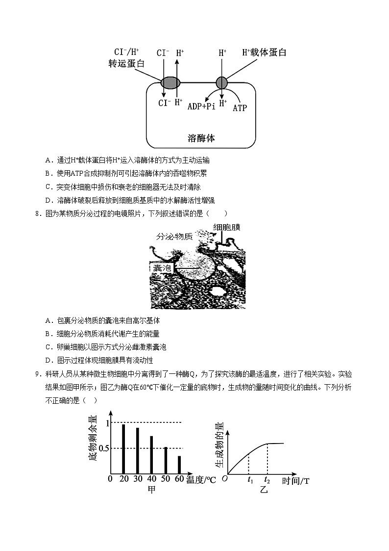 高一生物第三次月考卷(北京专用,第1~5章)2024-2025学年高中上学期第三次月考03