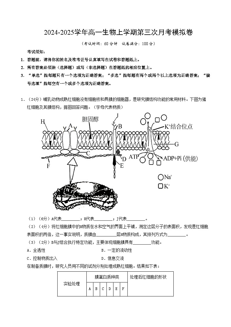 高一生物第三次月考卷(沪科版2020,上海专用)2024-2025学年初中上学期第三次月考.zip01