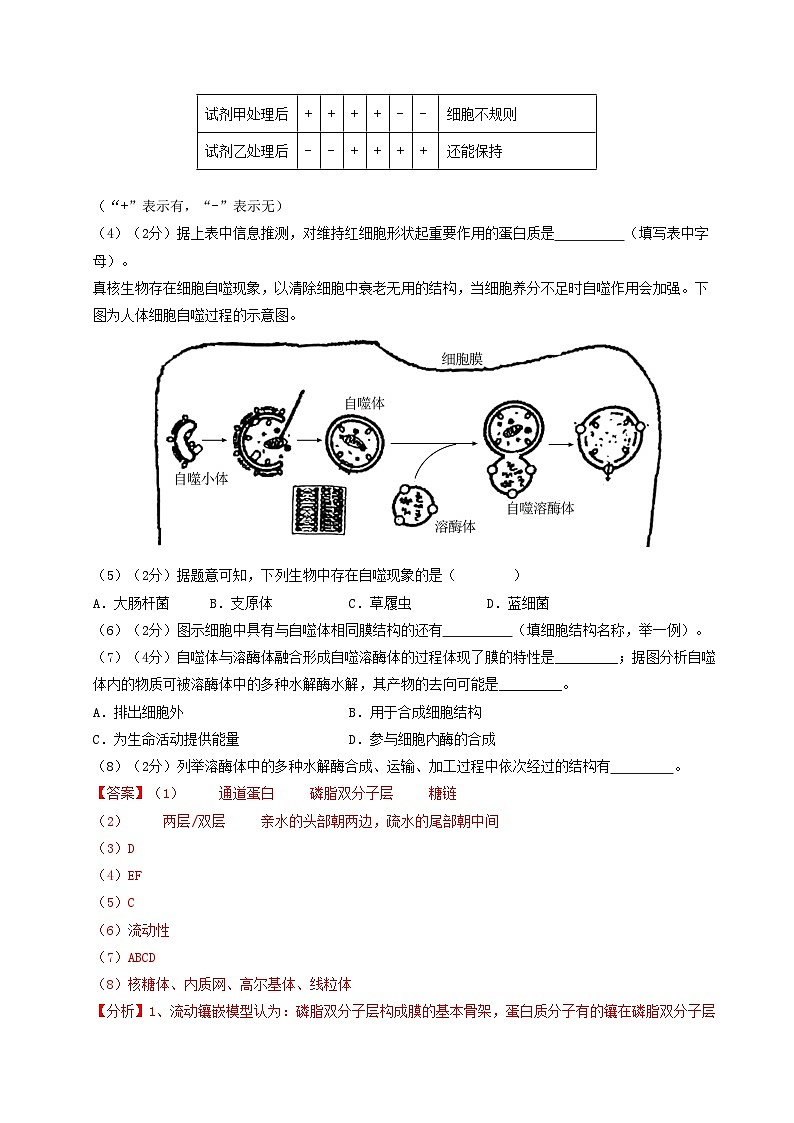 高一生物第三次月考卷(沪科版2020,上海专用)2024-2025学年初中上学期第三次月考.zip02