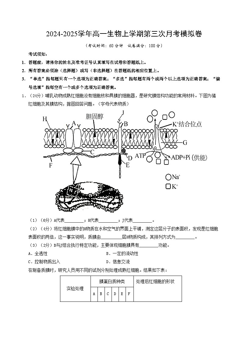 高一生物第三次月考卷(沪科版2020,上海专用)2024-2025学年初中上学期第三次月考.zip01