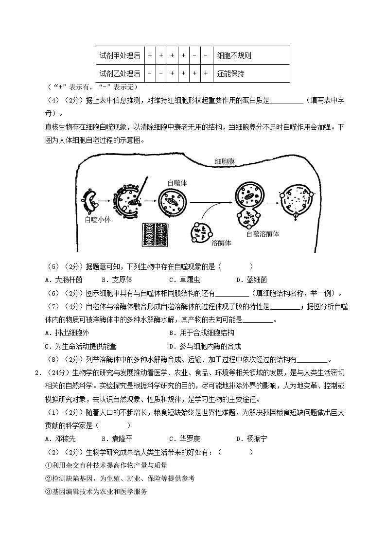 高一生物第三次月考卷(沪科版2020,上海专用)2024-2025学年初中上学期第三次月考.zip02