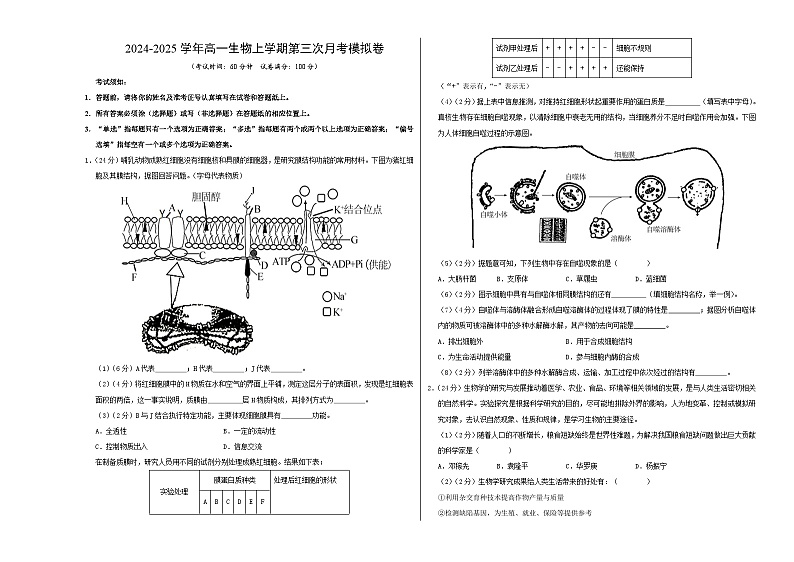 高一生物第三次月考卷(沪科版2020,上海专用)2024-2025学年初中上学期第三次月考.zip01