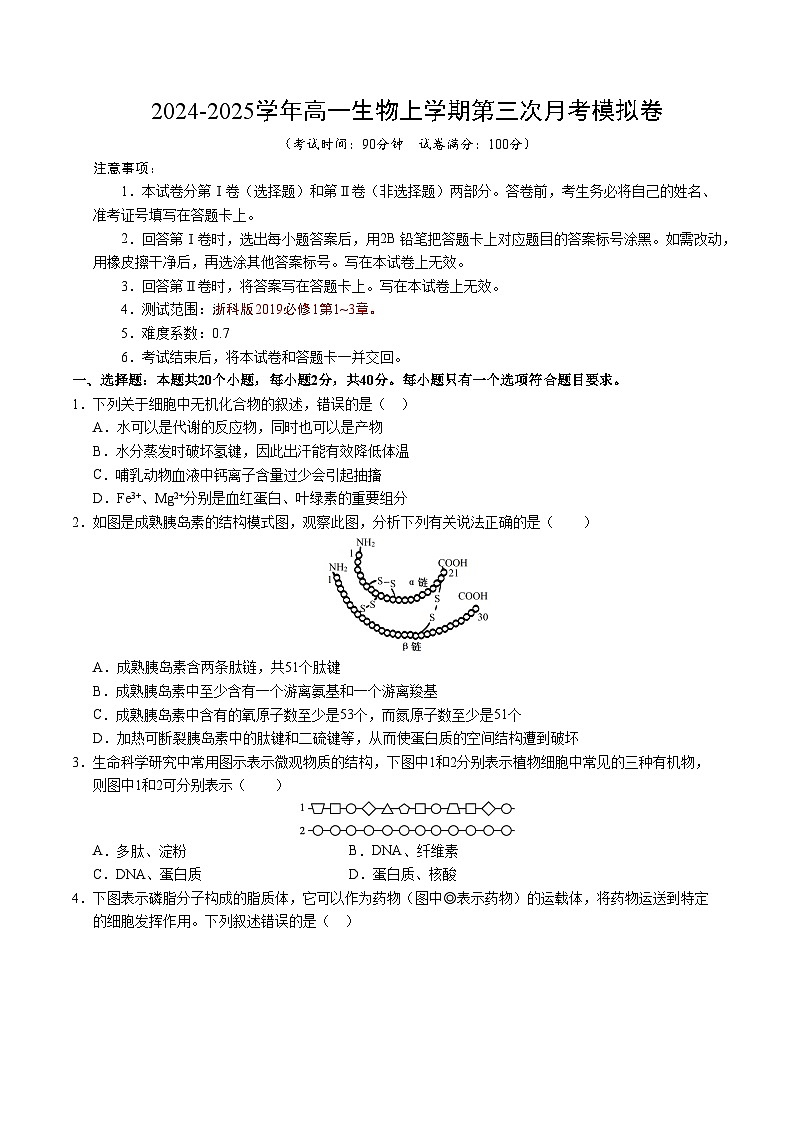 高一生物第三次月考卷(浙科版2019,必修一第1~3章)2024-2025学年高中上学期第三次月考.zip01