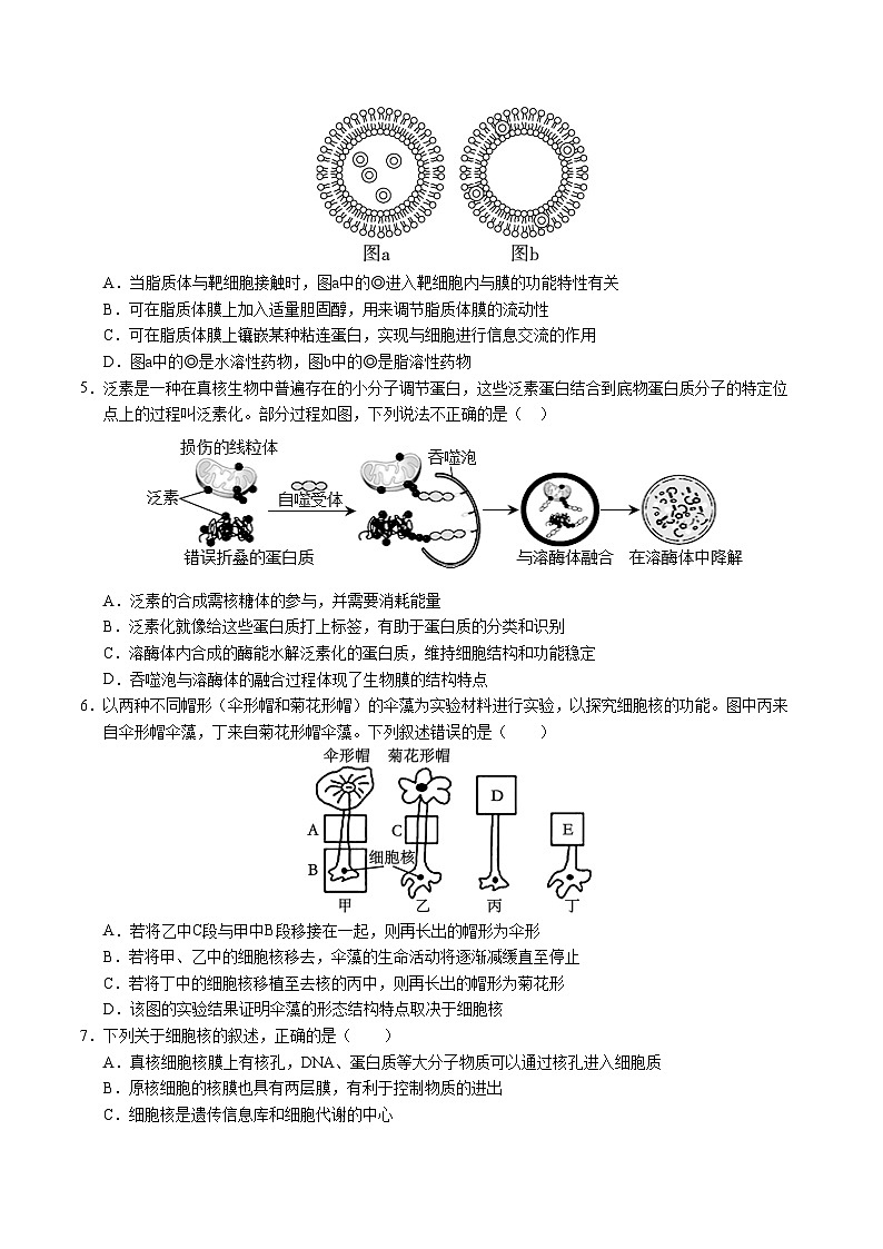 高一生物第三次月考卷(浙科版2019,必修一第1~3章)2024-2025学年高中上学期第三次月考.zip02